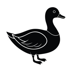 duck vector illustration