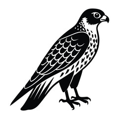 falcon vector illustration