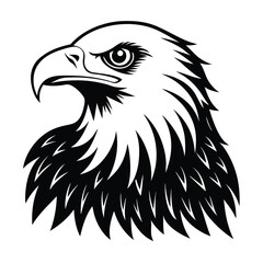 Fototapeta premium falcon vector illustration