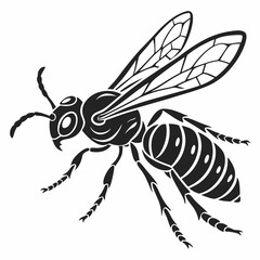 wasp black silhouette icon vector