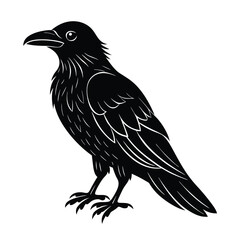 Obraz premium crow vector illustration