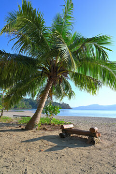 Makeshift log bench overlooking the blue ocean water