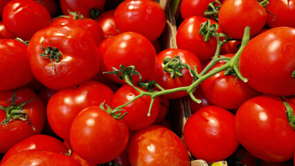Branch of tomatoes for sale close-up. Farm produce. Agriculture. Vegetables. Fresh ripe tomatoes. Tomatoes stacked together for sale at a farmers market. Food market