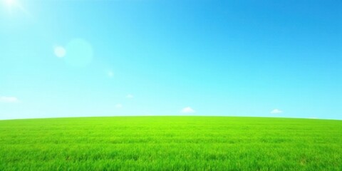 Fototapeta premium Serene Landscape Vibrant Green Field Under a Clear Azure Sky with Gentle Sunlight