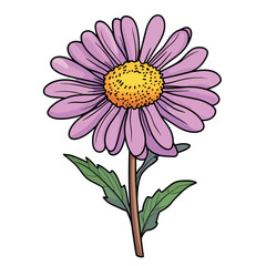 cartoon Aster flower no details solid background