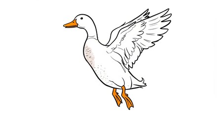 Obraz premium White duck flying with wings spread in a playful manner 