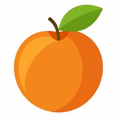 orange vector illustration