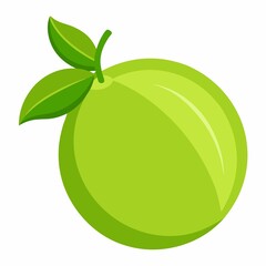 vector illustration of a green apple