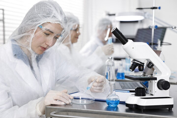 Fototapeta premium Scientist dripping sample into Petri dish at table in laboratory