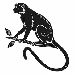 tamarin black silhouette icon vector