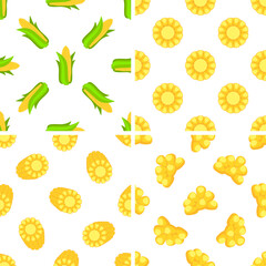 Seamless pattern showing corn cobs, slices and kernels on white background