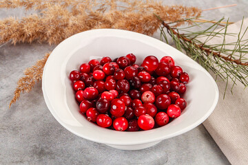 Ripe sweet sour cranberry heap