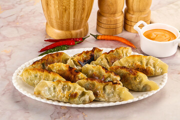 Japanese fried Gyoza stuffed dumplings