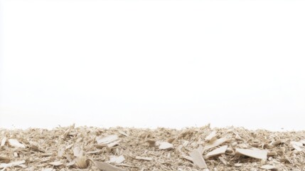 Wood shavings scattered on a surface creating a natural rustic atmosphere