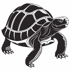 sulcata tortoise black silhouette icon vector