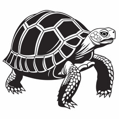 sulcata tortoise black silhouette icon vector