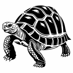 sulcata tortoise black silhouette icon vector
