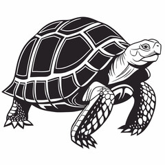 sulcata tortoise black silhouette icon vector