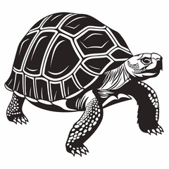 sulcata tortoise black silhouette icon vector