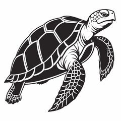 sulcata tortoise black silhouette icon vector