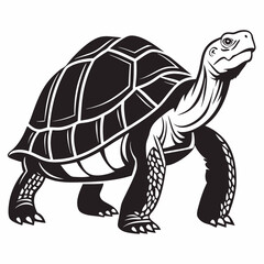 sulcata tortoise black silhouette icon vector