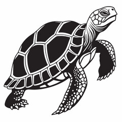 sulcata tortoise black silhouette icon vector