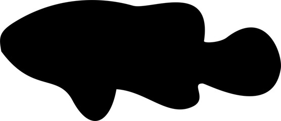 Fish Silhouette Black Color Illustration