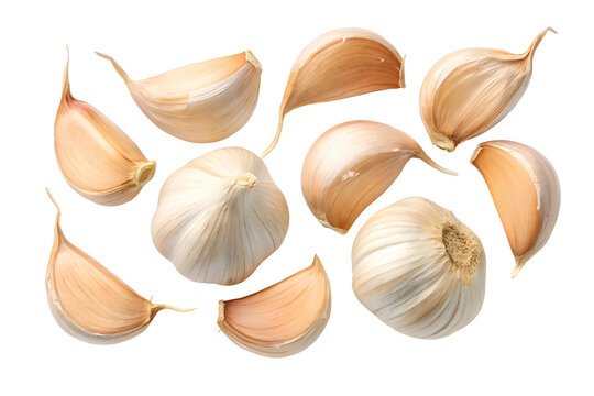 Close-up of whole Fresh garlic bulbs and cloves.