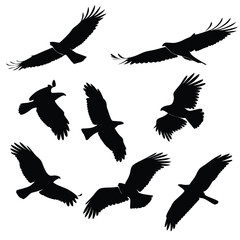 Vector silhouettes set of birds at tree branches  and isolated background.