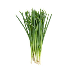 Fresh green chives slender and delicate isolated on white Perfect for food health or wellness concepts