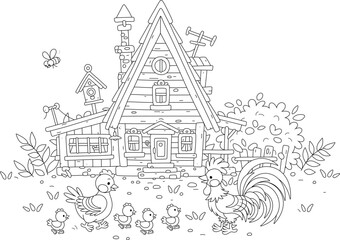 Obraz premium Funny chicken family of a cute hen, a colorful rooster and a merry brood of yellow small chicks walking in a yard of a wooden village house on a warm summer day, black and white vector cartoon