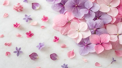Fototapeta premium Flat Lay of Scattered Pink and Purple Hydrangea Flowers – Delicate March 8th Festive Background