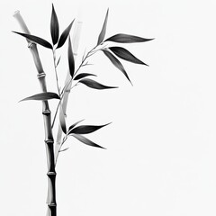 Obraz premium Bamboo Plant in Monochrome Minimalist Style Botanical Photography Calm Zen Asian Element Design