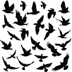 Vector silhouettes set of birds at tree branches  and isolated background.