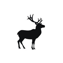 deer vector illustration
