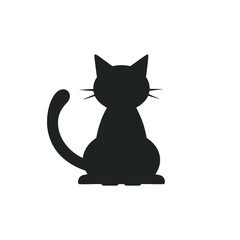 black cat on white background