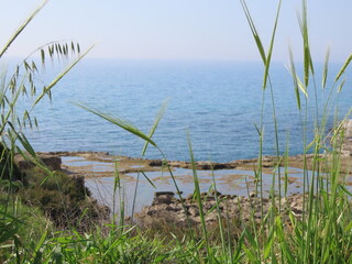 A beautiful view of rocks, green grass, and the Mediterranean Sea in the Tel Dor Nature Reserve in...