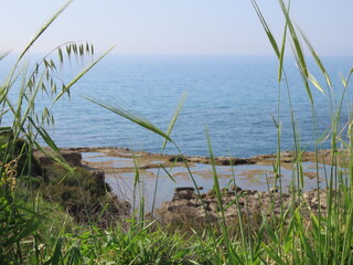A beautiful view of rocks, green grass, and the Mediterranean Sea in the Tel Dor Nature Reserve in northern Israel.