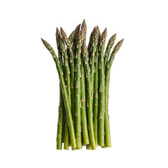 Fresh asparagus spears with vibrant green stalks and purple tinged tips glistening with moisture on a clean white background