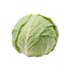 Fresh green cabbage head with tightly packed leaves and a smooth surface isolated on white background