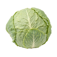 Fresh green cabbage head with tightly packed leaves and a smooth surface isolated on white background