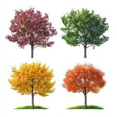 Diverse Tree Foliage Displaying Autumnal Color Palette on a White Background in Botanical Study