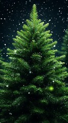 Christmas Tree Night Snow