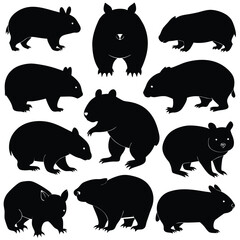 set of wombats, collection of silhouettes of black vector