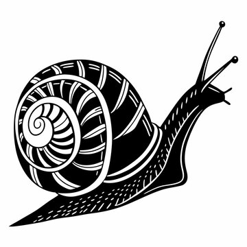 recommend clip art: snail black silhouette icon vector