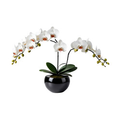 White Orchid Plant in Black Ceramic Pot Artificial Floral Arrangement