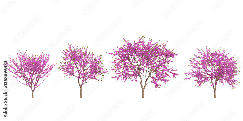 Aufkleber collection of judas trees on transparent background