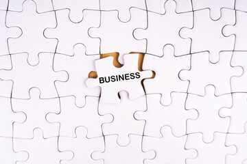 BUSINESS written on a jigsaw puzzle. Management and business concept