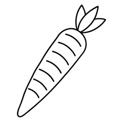 Carrot Line Art Vector