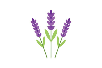 Fototapeta premium bouquet of spring flowers